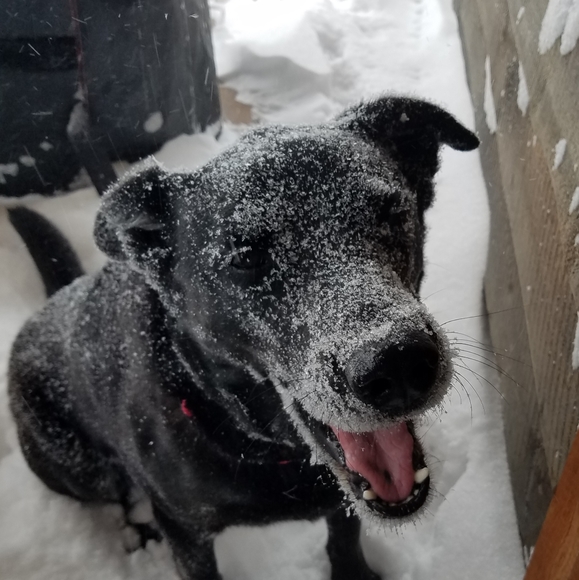 Meet your Posher, Kelly - Picture 2 of 3